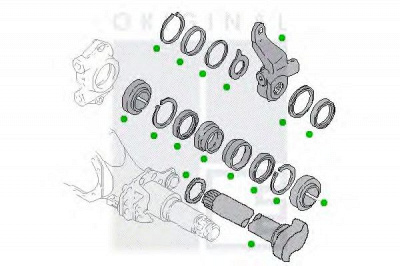 PE AUTOMOTIVE 231306212025001 -